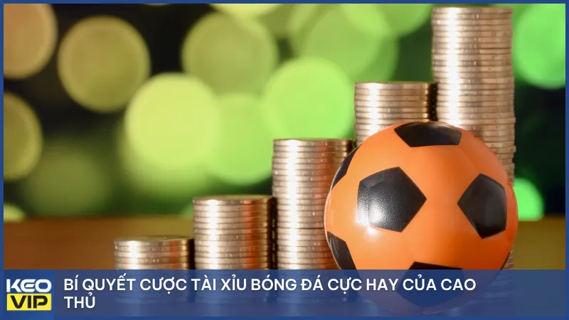 Bí quyết cược tài xỉu bóng đá cực hay của cao thủ
