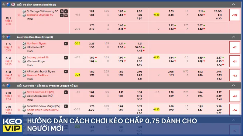 Hướng dẫn cụ thể cách chơi kèo chấp 0.75 dành cho người mới