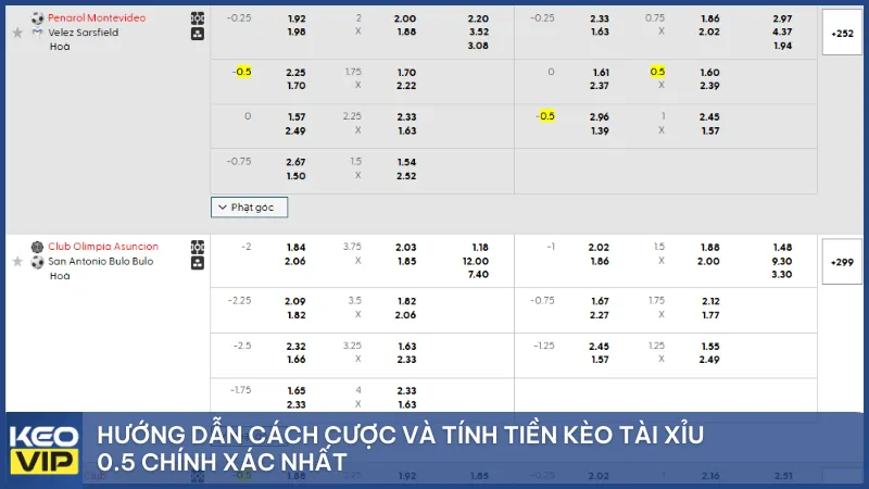Hướng dẫn cách cược và tính tiền kèo tài xỉu 0.5 chính xác nhất