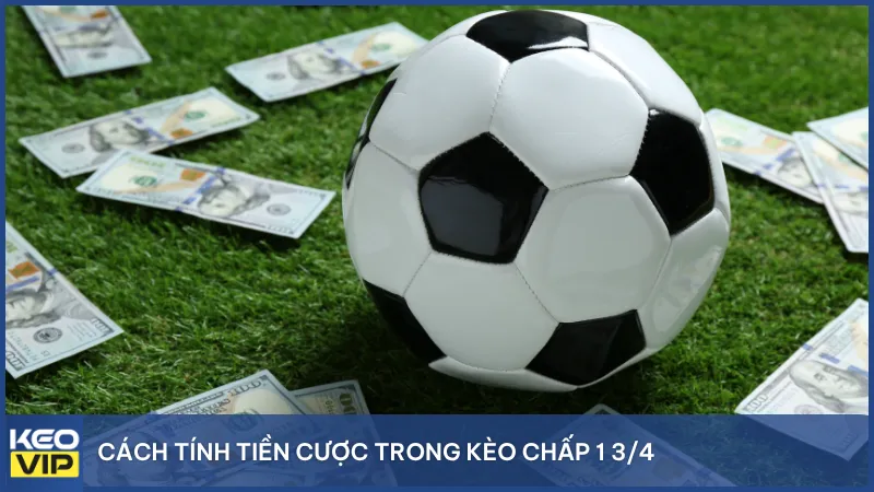 Cách tính tiền cược trong kèo chấp 1 3/4