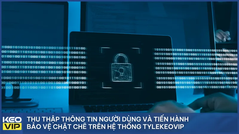 Thu thập thông tin người dùng và tiến hành bảo vệ chặt chẽ trên hệ thống Tylekeovip