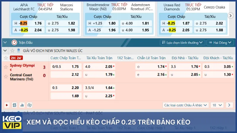 Xem và đọc hiểu kèo chấp 0.25 trên bảng kèo