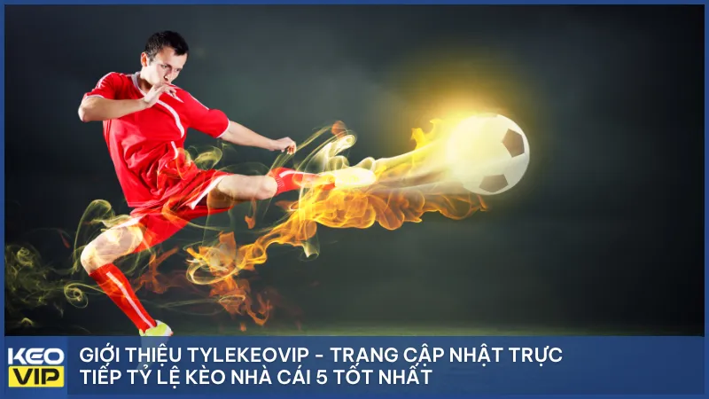 Giới thiệu Tylekeovip - Trang cập nhật trực tiếp tỷ lệ kèo nhà cái tốt nhất