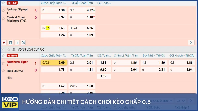 Hướng dẫn cách chơi kèo chấp 0.5 đơn giản và chuẩn xác