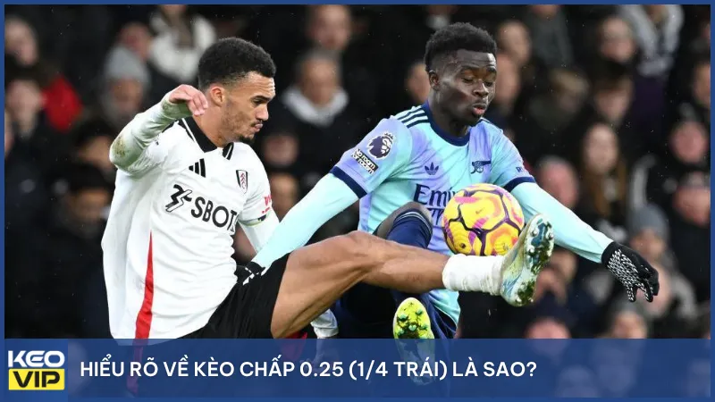 Hiểu rõ về kèo chấp 0.25 (1/4 trái) là sao?