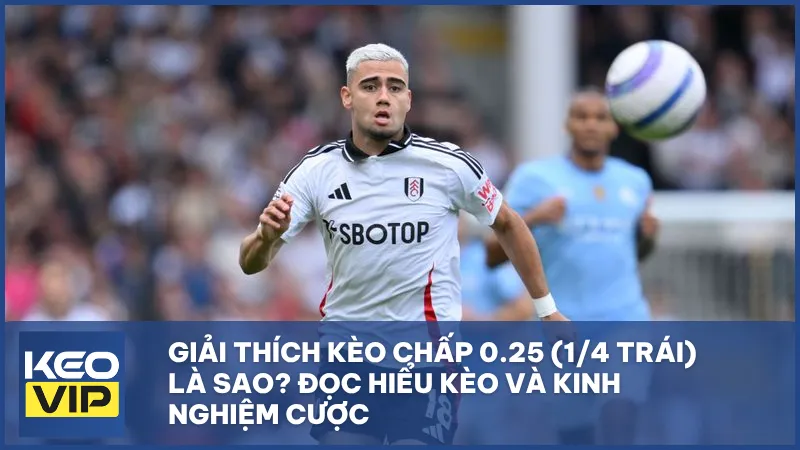 Kèo chấp 0.25 (1/4 trái)