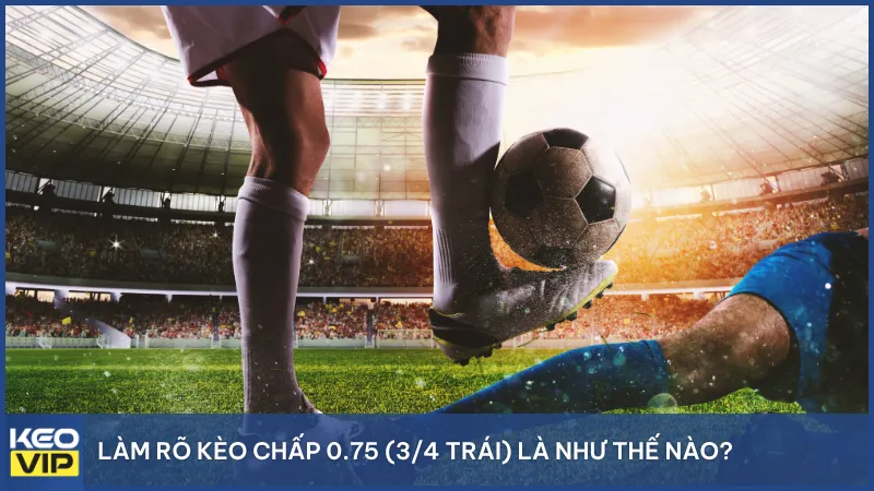 Làm rõ kèo chấp 0.75 (3/4 trái) là như thế nào?