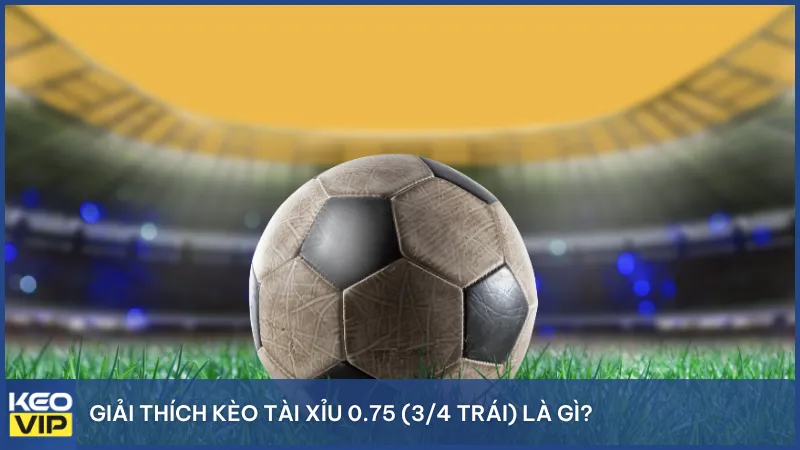 Giải thích kèo tài xỉu 0.75 (3/4 trái) là gì?