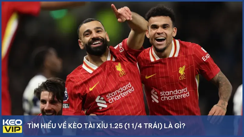 Biểu đồ minh họa cách hiểu và phân tích kèo tài xỉu 1.25 – lựa chọn lý tưởng trong các trận cầu có ít bàn thắng.