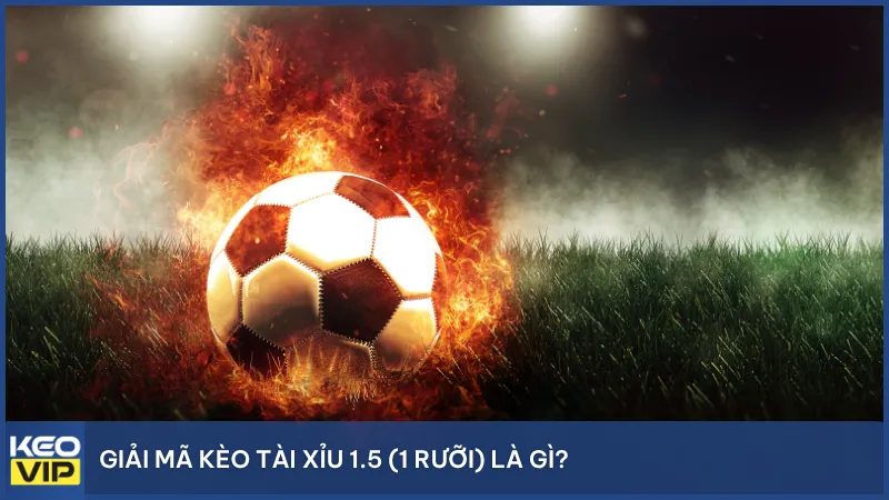 Kèo này không có kết quả hòa hay thắng thua nửa tiền, nên mọi lựa chọn đều rõ ràng – phù hợp với người chơi muốn cược nhanh, dễ hiểu.