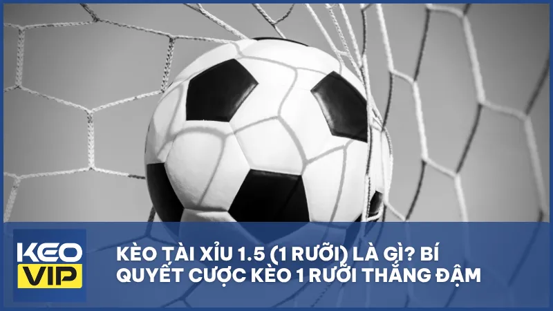Kèo tài xỉu 1.5 (1 rưỡi)