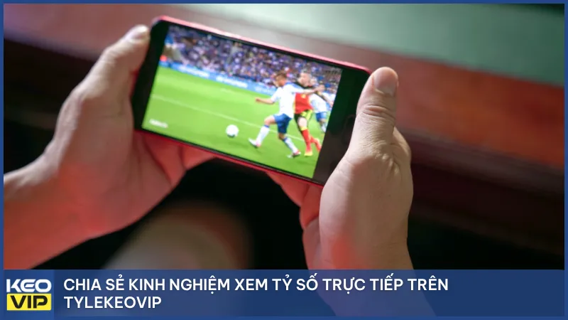 Chia sẻ kinh nghiệm xem tỷ số trực tiếp trên Tylekeovip