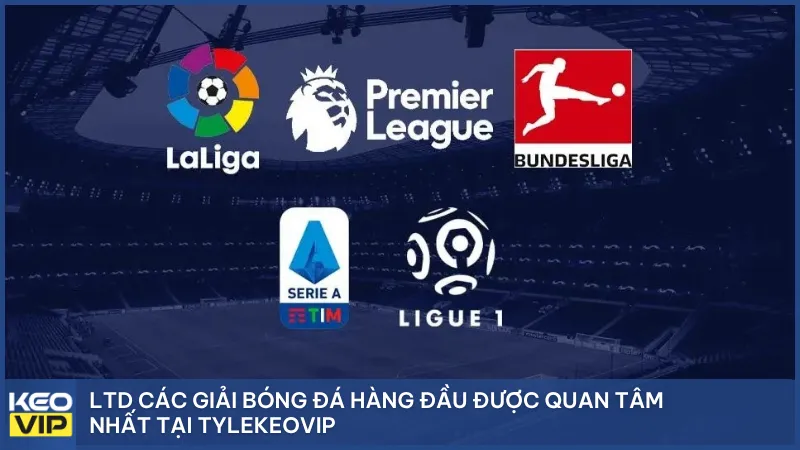 LTD các giải bóng đá hàng đầu được quan tâm nhất tại Tylekeovip