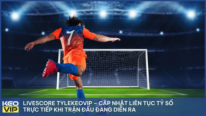 Livescore Tylekeovip – Cập nhật liên tục tỷ số trực tiếp khi trận đấu đang diễn ra