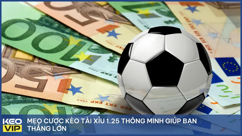 Mẹo cược kèo tài xỉu 1.25 thông minh giúp bạn thắng lớn