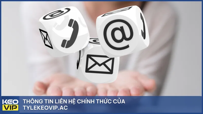 Thông tin liên hệ chính thức của jsmonitor.io