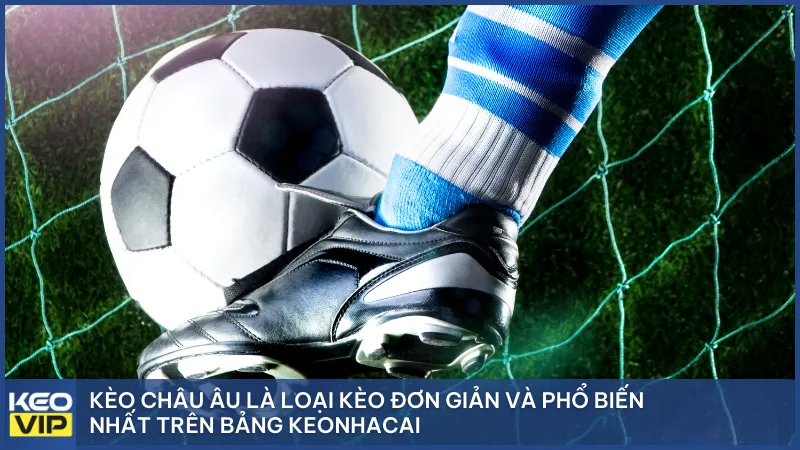 Kèo châu Âu là loại kèo đơn giản và phổ biến nhất trên bảng keonhacai