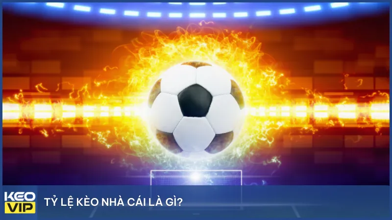 Tỷ lệ kèo nhà cái là con số được nhà cái đưa ra để người chơi cá cược lựa chọn