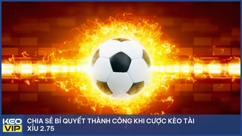 Chia sẻ bí quyết thành công khi cược kèo tài xỉu 2.75