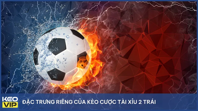 Đặc trưng riêng của kèo cược tài xỉu 2 trái