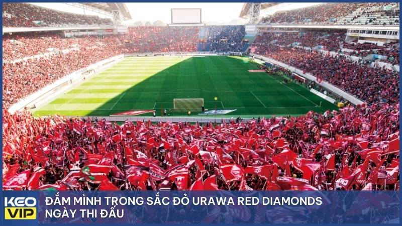 Đắm mình trong sắc đỏ Urawa Red Diamonds ngày thi đấu