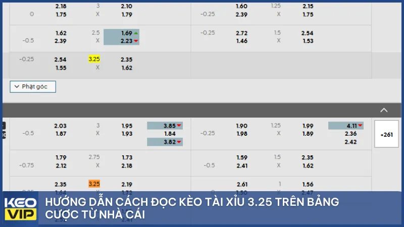 Hướng dẫn cách đọc kèo tài xỉu 3.25 trên bảng cược từ nhà cái