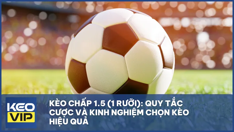 Kèo chấp 1.5 (1 rưỡi) là gì? Cách đọc kèo, tính tiền và mẹo đặt cược chuẩn