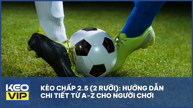 Kèo chấp 2.5 là gì? Cách chơi và mẹo bắt kèo hiệu quả cho người mới
