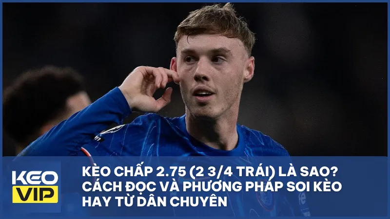Kèo chấp 2.75 là gì? Cách đọc kèo và bí quyết soi kèo chuẩn từ dân cá cược