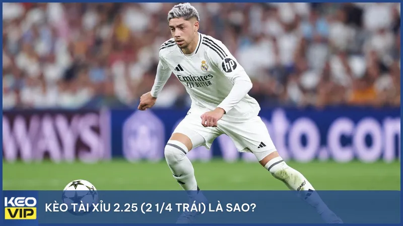 Kèo tài xỉu 2.25 (2 1/4 trái) là kèo đoán tổng số bàn thắng lớn hoặc nhỏ hơn 2-3 trái