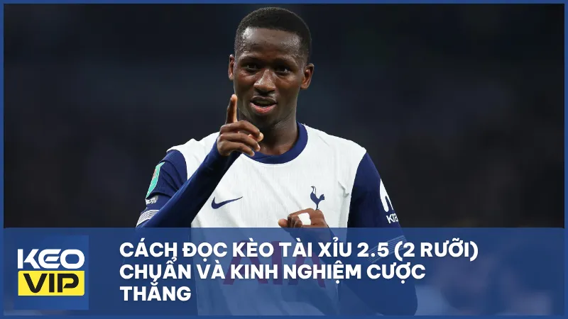 Cách đọc kèo tài xỉu 2.5 (2 rưỡi) và bí quyết cược thắng hiệu quả