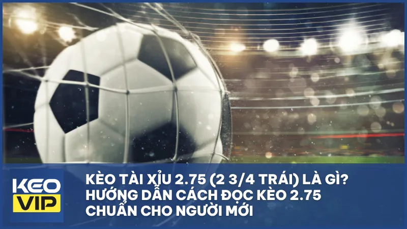 Kèo tài xỉu 2.75 (2 3/4 trái) là gì? Cách đọc và mẹo cược chuẩn cho người mới