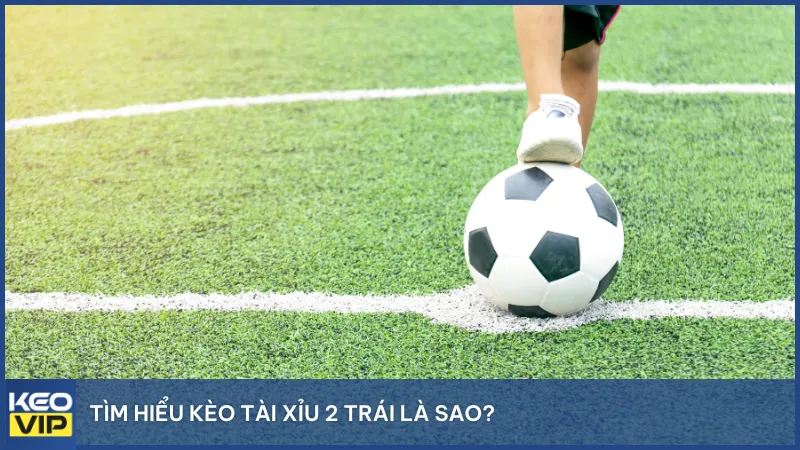 Kèo tài xỉu 2 trái là hình thức cá cược với mốc dự đoán là trên hoặc dưới 2 bàn thắng