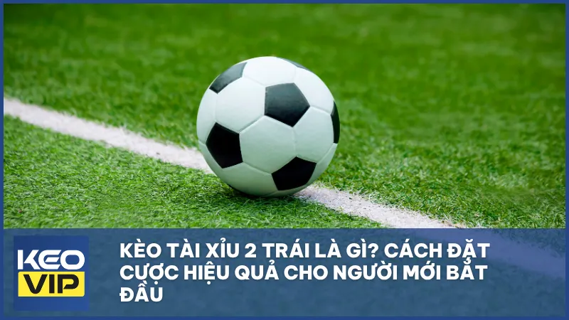 Kèo tài xỉu 2 trái là gì? Cách cược và mẹo soi kèo chuẩn xác cho tân thủ