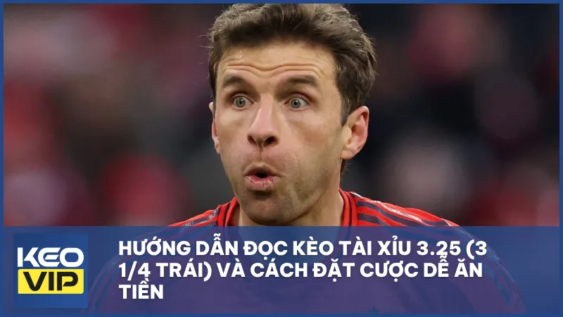 Hướng dẫn kèo tài xỉu 3.25 (3 1/4 trái) từ A-Z cho người mới