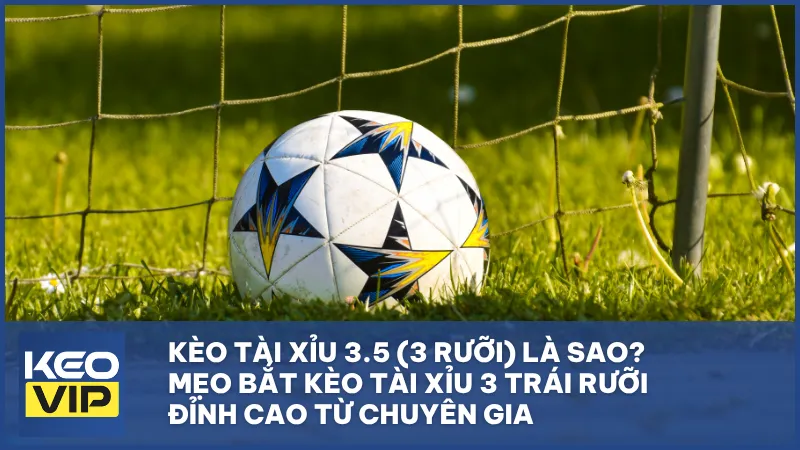 Kèo tài xỉu 3.5 (3 rưỡi) – Quy tắc, cách tính tiền và bí quyết bắt kèo thắng lớn