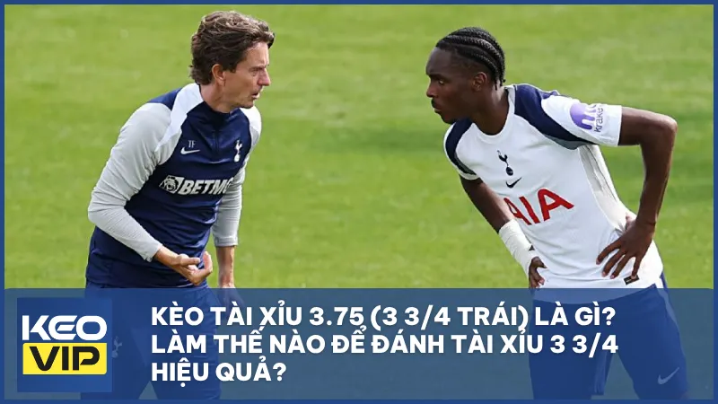 Kèo tài xỉu 3.75 (3 3/4 trái) là gì? Cách chơi và bí quyết thắng lớn