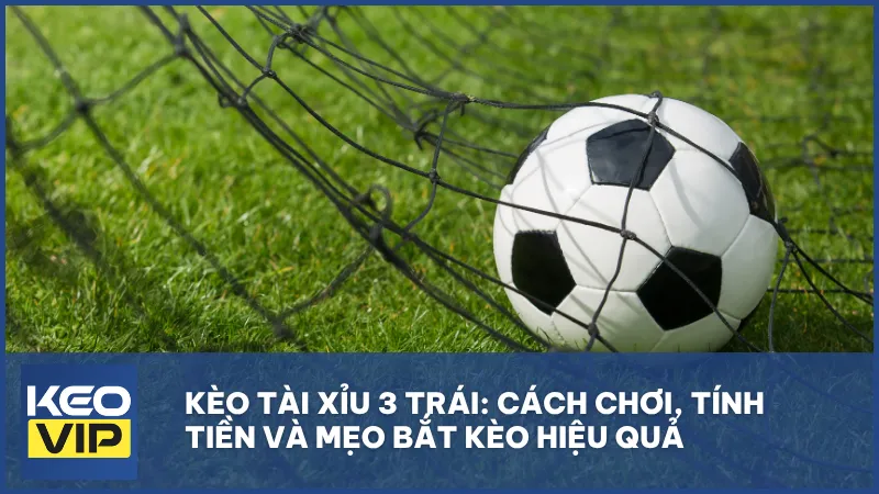 Kèo tài xỉu 3 trái là gì? Cách đọc, tính tiền và mẹo soi kèo hiệu quả