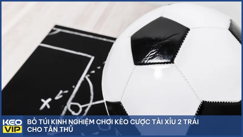 Bỏ túi kinh nghiệm chơi kèo cược tài xỉu 2 trái cho tân thủ