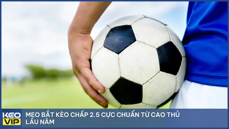 Phân tích phong độ, đội hình và biến động kèo để ra quyết định sáng suốt.