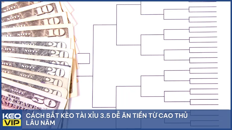 Cách bắt kèo tài xỉu 3.5 dễ ăn tiền từ cao thủ lâu năm