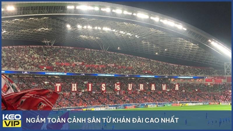 Ngắm toàn cảnh sân từ khán đài cao nhất