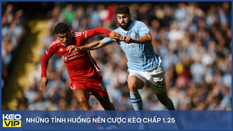 Hình minh họa những yếu tố cần theo dõi như phong độ đội bóng, đội hình, thống kê đối đầu trước khi cược.