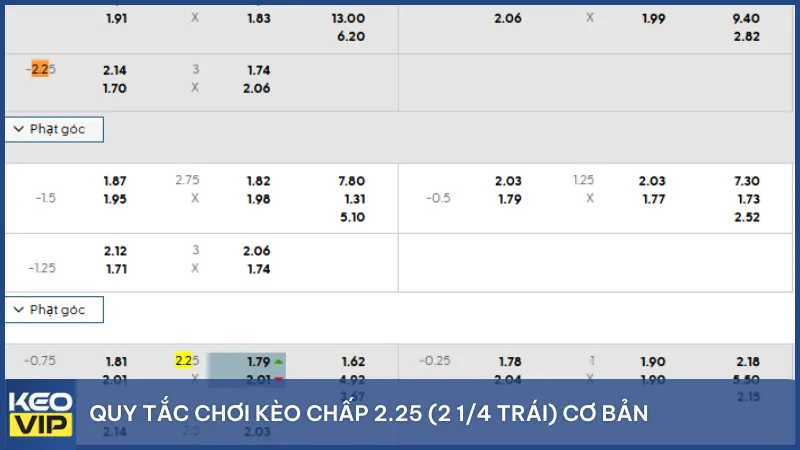 Hiểu rõ cách phân chia kết quả thắng – thua để tối ưu chiến lược đặt cược.