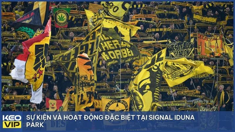 Sự kiện và hoạt động đặc biệt tại Signal Iduna Park