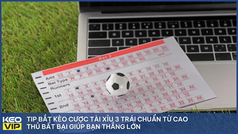 Tip bắt kèo cược tài xỉu 3 trái chuẩn từ cao thủ bất bại giúp bạn thắng lớn
