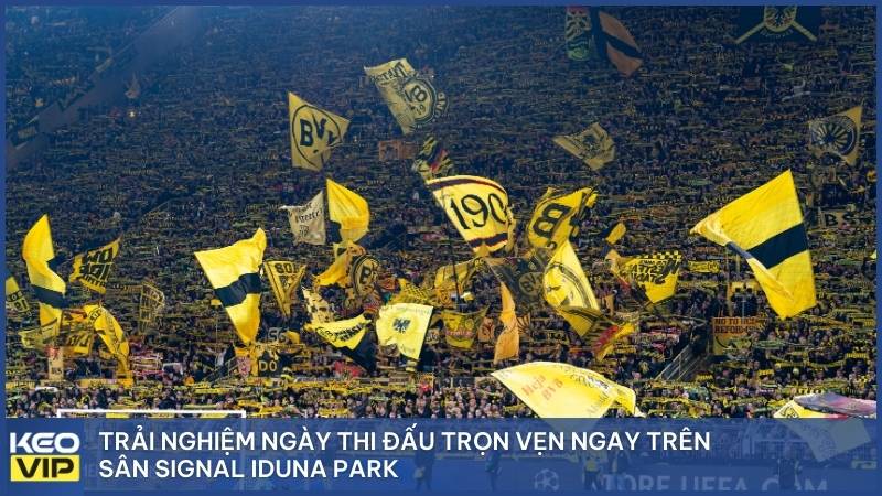 Trải nghiệm ngày thi đấu trọn vẹn ngay trên sân Signal Iduna Park