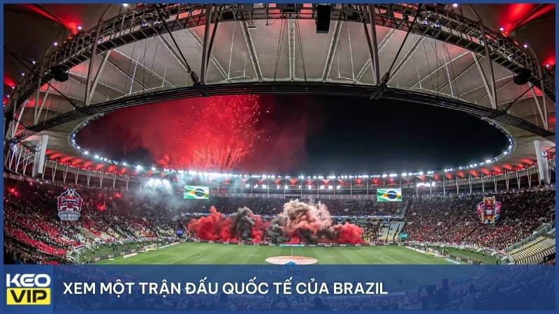 Xem một trận đấu quốc tế của Brazil trong bầu không khí đạt đến đỉnh điểm cảm xúc