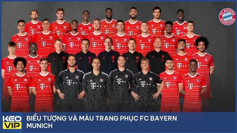 Biểu tượng và màu trang phục