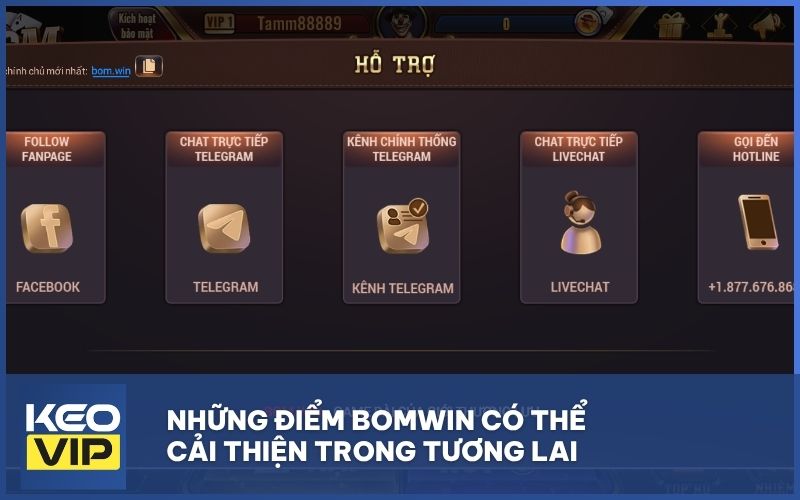 Những điểm BOMWIN có thể cải thiện trong tương lai
